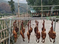 -龙坞茶村