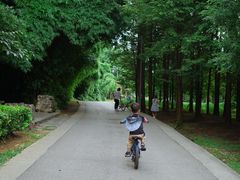 -贵阳市花溪国家城市湿地公园