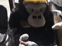 -ZOO COFFEE动物园咖啡(望京锐创店)