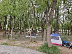 -嘉北郊野公园