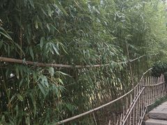 -竹子庵公园