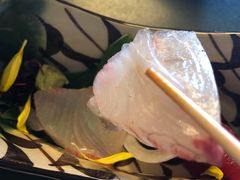 -料亭菊水楼