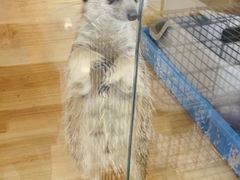 -平行世界·猫咖(首经贸店)