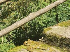 -东天目山风景区