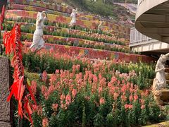 -美心红酒小镇游乐园