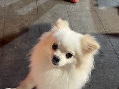 -回头烧烤(悦荟购物中心店)