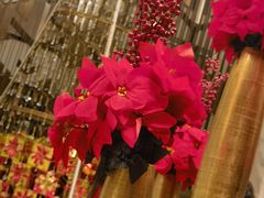 -康莱德酒店·美庭自助餐厅