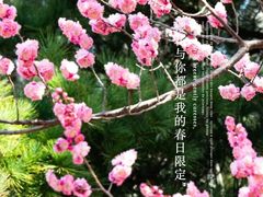 -国家植物园南园