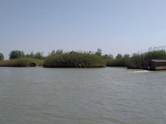 -泗洪洪泽湖湿地景区
