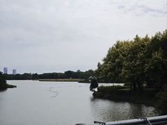 -海珠湖公园