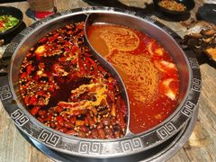 -销魂美蛙鱼头火锅(上海首店)