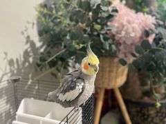 -隐工匠·银饰·烧玻璃DIY手工坊(蓝·芳华店)