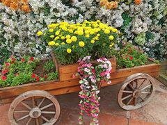 -郑州方特梦幻王国