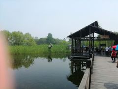 -溱湖国家湿地公园