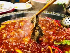 极品水牛毛肚-捞锅坝子老火锅(汽博中心店)