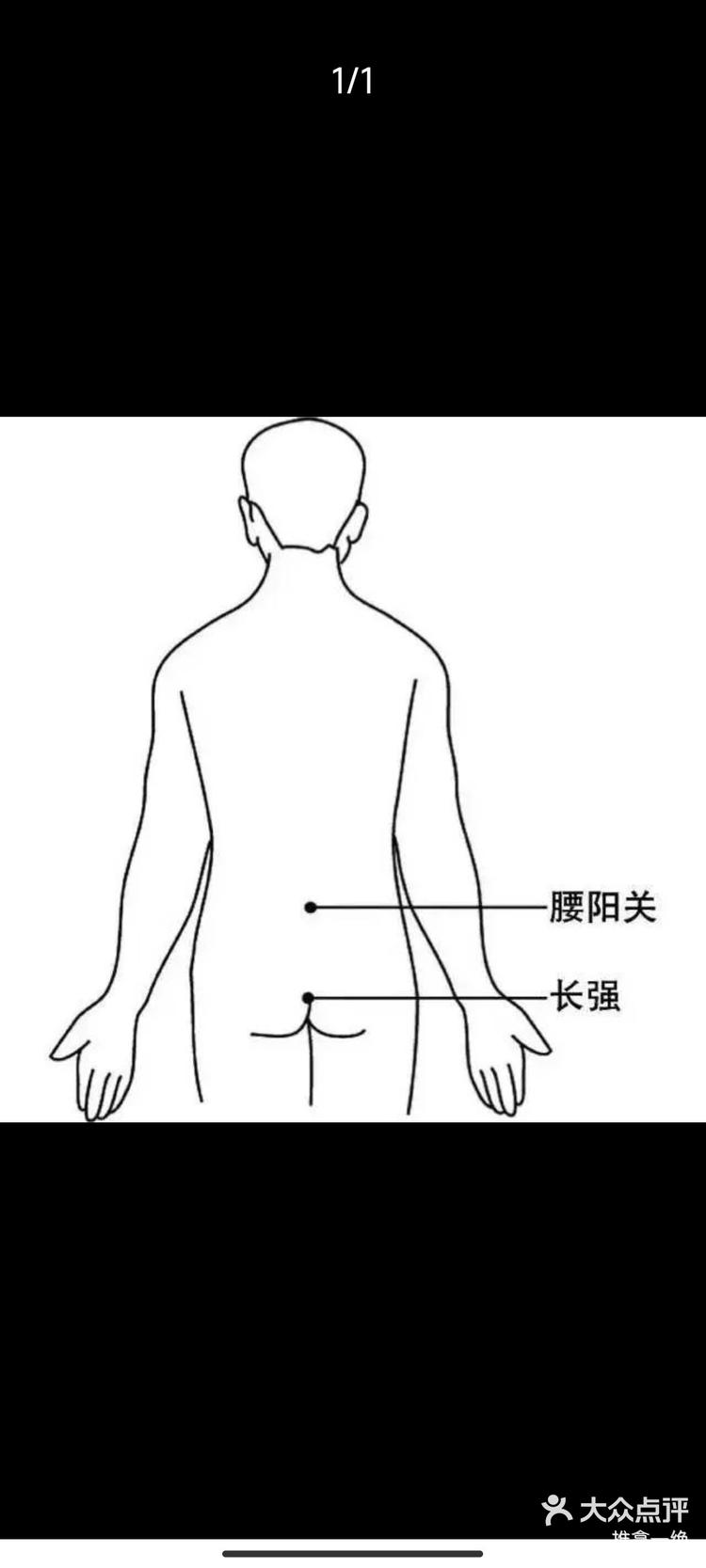 腰阳关准确位置图 图图片