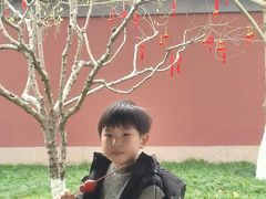 -钱王祠