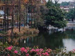 -荔湾湖公园