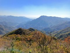 -大岭沟猕猴桃谷风景区