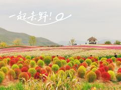 -径山花海