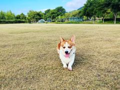-太湖月亮湾
