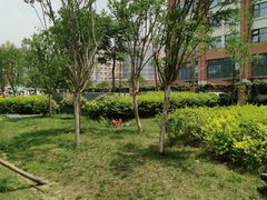 门诊部-成都市第一人民医院(南区)