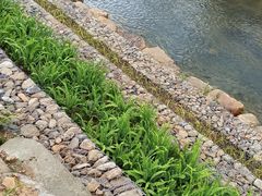 -北仑森林植物园