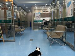 -万博宠物医院·手术·诊疗(未央凤城五路店)