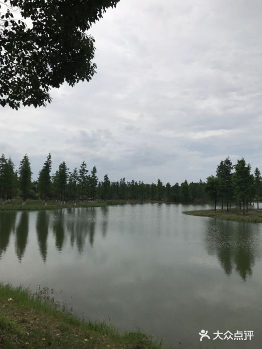 虎丘溼地公園-圖片-蘇州景點/周邊遊-大眾點評網