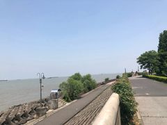 -上海滨江森林公园