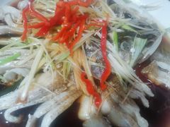 -煲来饱去冷水鱼