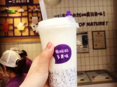 -一只酸奶牛(八一路店)