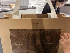 -ARC'TERYX始祖鸟(北京王府中环店)