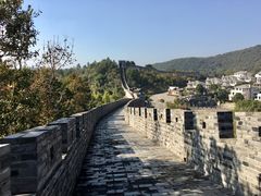 -黄贤森林公园