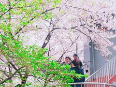 -上海南浦大桥长途旅游客运站