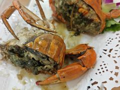 -友强·23年特色海鲜大排档(厦门店)