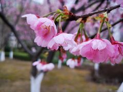 -白塘生态植物园