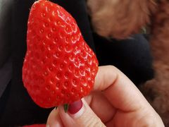 -果蔬好生活超市(乐堤港店)