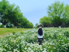 -汉长安城未央宫国家考古遗址公园