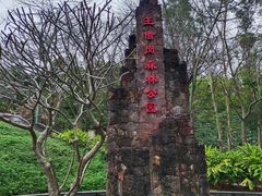 -王借岗森林公园