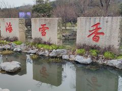 -香雪海