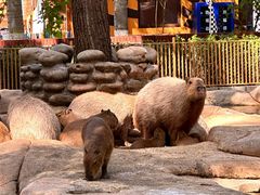 -北京野生动物园