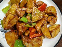 -雁门客栈库底鱼