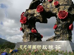 -亚龙湾国际玫瑰谷