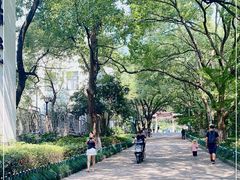 -杭州半山国家森林公园