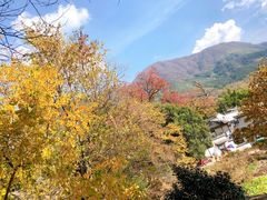 -塔川景区