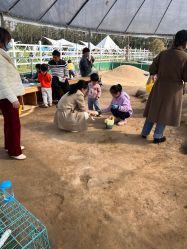 -前小桔亲子创意农场·草莓采摘·露营烧烤