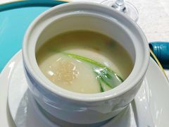 口袋豆腐-松云泽