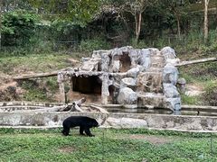 -清迈夜间动物园