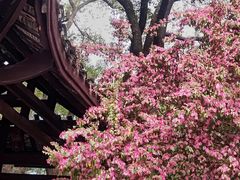 -食膳公园包子铺(烈士公园店)